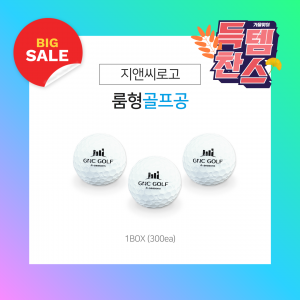 [룸형] 지앤씨로고 골프공 (정품)