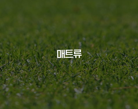 매트류